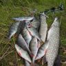 DSC01403.JPG