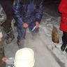 DSC02431.JPG