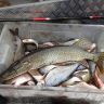 20131005_141333.jpg