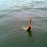 DSC00003.JPG