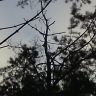PIC_0076.JPG
