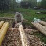 DSC00852.JPG