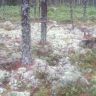 photo_00064.jpg