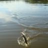 DSC04017.JPG