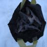 DSC01873.JPG