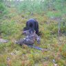 DSCN2937.JPG