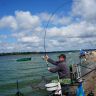 DSC01049.jpg