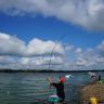DSC01037.jpg