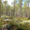 photo_00287.jpg