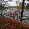 photo_00268.jpg