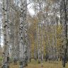 20131012_134854.jpg