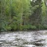 DSC03037.JPG