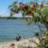 DSC01114.jpg
