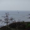 DSC00009.JPG