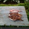 SC20120713-125018.jpg