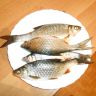 DSCN4966.JPG