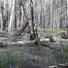 20180514_074122.jpg
