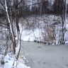 IMG_0313.JPG