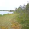 DSC00054.JPG