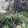 20180514_094526.jpg