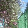 10052012051.jpg