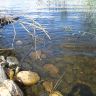 DSC02961.JPG