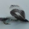 IMG_20200724_101256.jpg