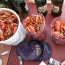 20140820_144617.jpg