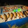 IMG_0145.JPG