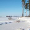 100_1529.jpg