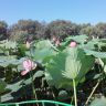 20140726_111012.jpg