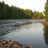 IMG_0295.JPG