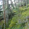 DSC02976.JPG
