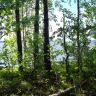 DSC02593.JPG