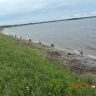 DSCN0957.JPG