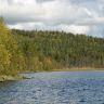 IMG_1000.JPG