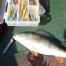 IMG_20190908_103352.jpg