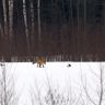 DSC09857.jpg