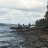 DSC04242.JPG