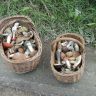 DSC01457.JPG
