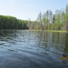 IMG_0155.JPG