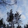 DSC01336.JPG