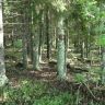 DSC02594.JPG