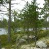 P1050177.JPG