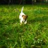 DSCN2493.JPG