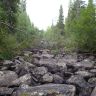 DSC02961.JPG