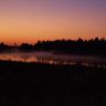PIC_0029.JPG