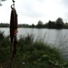 DSC01438.JPG