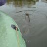 DSC02755.JPG