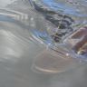 DSC00197.JPG